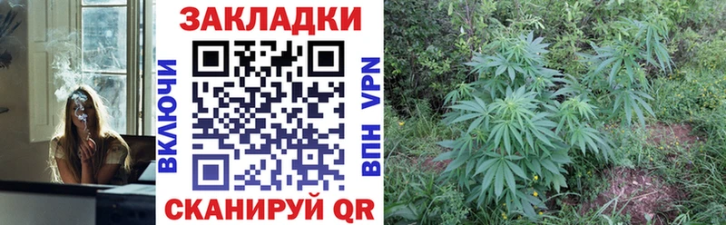 Наркошоп купить Альфа ПВП  Меф мяу мяу  АМФ  ГЕРОИН  NBOMe  Марихуана  ГАШИШ  Давлеканово