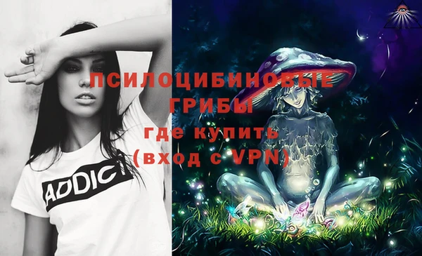 дживик Дмитриев