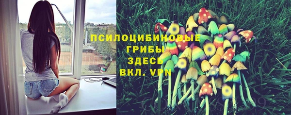 дживик Дмитриев