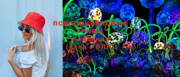 ПСИЛОЦИБИНОВЫЕ ГРИБЫ Елизово